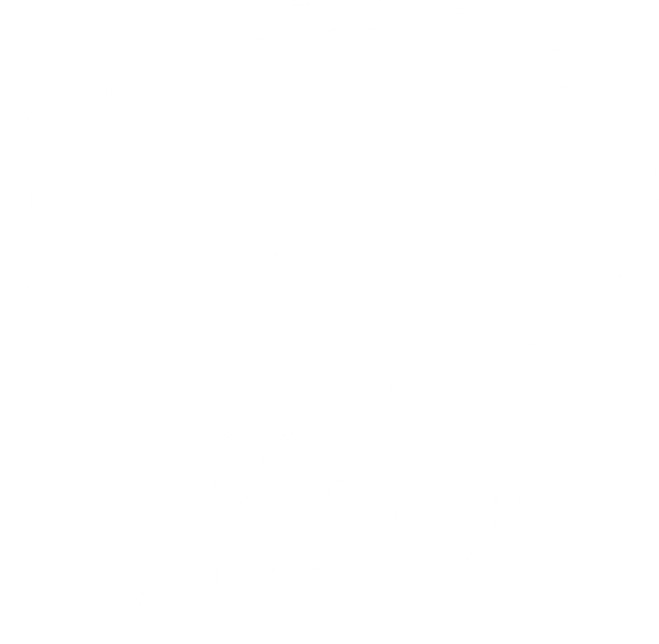 Parius Media